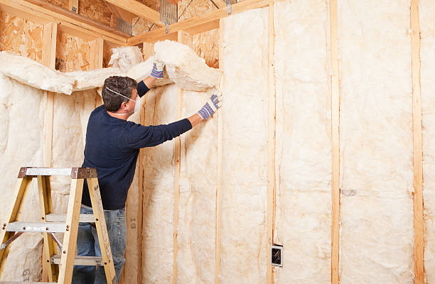 Best Blown-In Insulation  in Ransom Canyon, TX