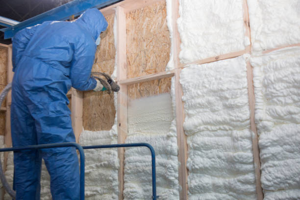 Types of Insulation We Offer in Ransom Canyon, TX